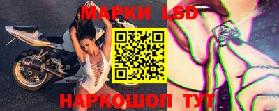 гашик Нальчик